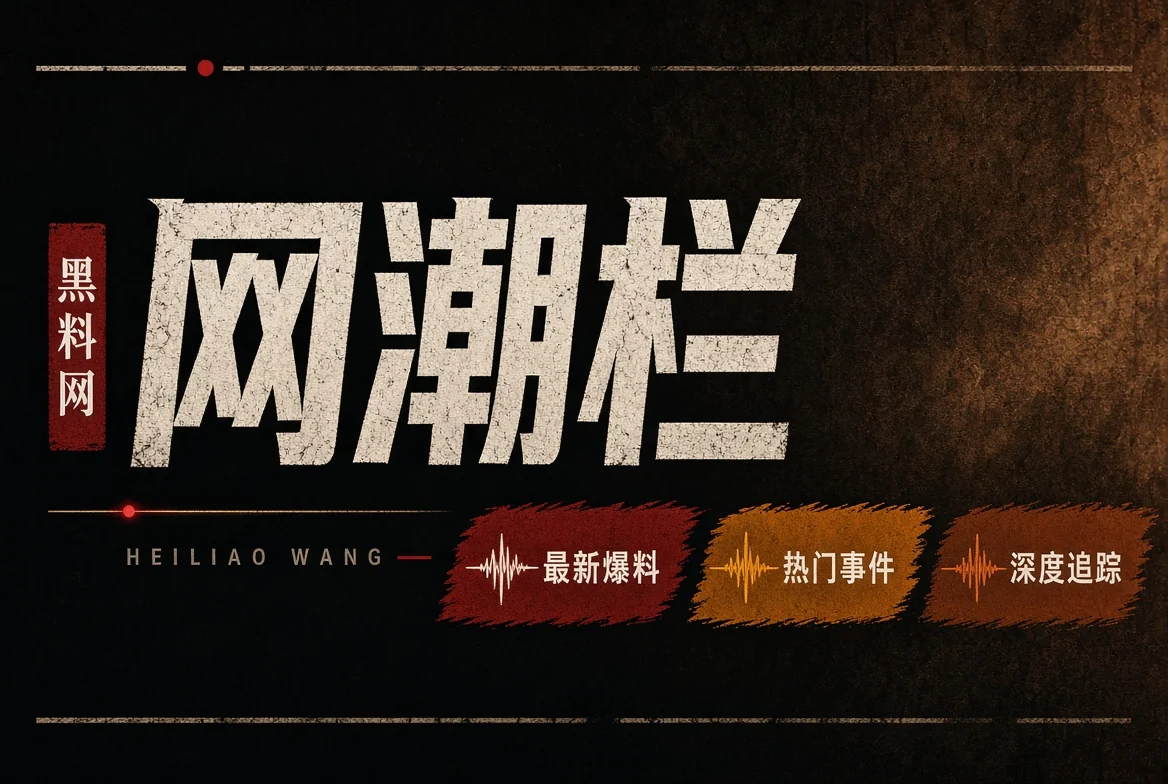 网浪栏视觉图